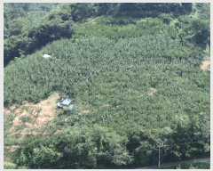  2025Ÿ��904 �泲 ��õ�� ������ ��185-5       ����(�Ӿ�)���