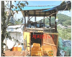  2025Ÿ��904 �泲 ��õ�� ������ ��185-5       ����(�Ӿ�)���