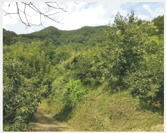  2025Ÿ��914 �泲 ��û�� ����� ������ 236      ����(��1)���