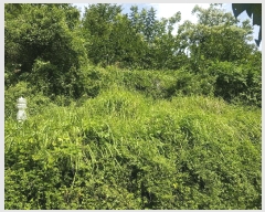  2025Ÿ��914 �泲 ��û�� ����� ������ 236      ����(��1)���