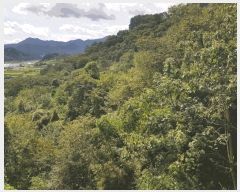  2025Ÿ��914 �泲 ��û�� ����� ������ 236      ����(��1)���