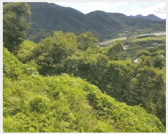  2025Ÿ��914 �泲 ��û�� ����� ������ 236      ����(��1)���