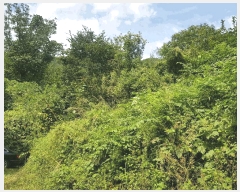  2025Ÿ��914 �泲 ��û�� ����� ������ 236      ����(��1)���