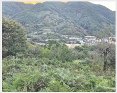  2025Ÿ��914 �泲 ��û�� ����� ������ 236      ����(��1)���