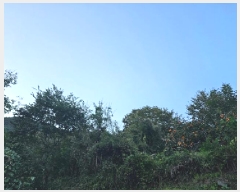  2025Ÿ��914 �泲 ��û�� ����� ������ 236      ����(��1)���