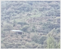  2025Ÿ��914 �泲 ��û�� ����� ������ 236      ����(��1)���