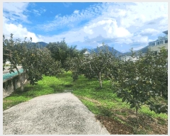  2025Ÿ��961 �泲 ��û�� ��õ�� �縮 693-2      ����(��1)���