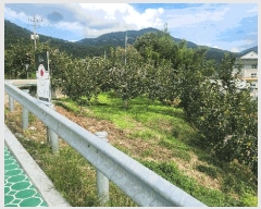  2025Ÿ��961 �泲 ��û�� ��õ�� �縮 693-2      ����(��1)���