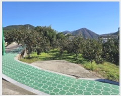  2025Ÿ��961 �泲 ��û�� ��õ�� �縮 693-2      ����(��1)���