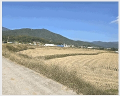  2025Ÿ��983 �泲 ��õ�� ������ 167       ����(��)���