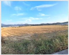  2025Ÿ��983 �泲 ��õ�� ������ 167       ����(��)���