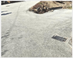  2025Ÿ��999 �泲 ���ֽ� �ݻ�� �۹鸮 299      ����(��)���