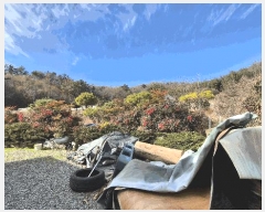  2025Ÿ��999 �泲 ���ֽ� �ݻ�� �۹鸮 299      ����(��)���