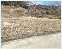  2025Ÿ��999 �泲 ���ֽ� �ݻ�� �۹鸮 299      ����(��)���