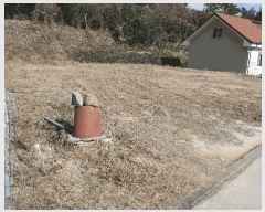  2025Ÿ��999 �泲 ���ֽ� �ݻ�� �۹鸮 299      ����(��)���