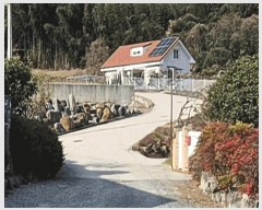  2025Ÿ��999 �泲 ���ֽ� �ݻ�� �۹鸮 299      ����(��)���