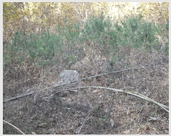  2025Ÿ��1026 �泲 ���ֽ� ����� ��õ�� ��6-8      ����(�Ӿ�)���