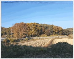  2025Ÿ��1026 �泲 ���ֽ� ����� ��õ�� ��6-8      ����(�Ӿ�)���