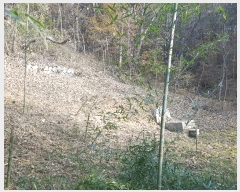  2025Ÿ��1026 �泲 ���ֽ� ����� ��õ�� ��6-8      ����(�Ӿ�)���