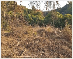  2025Ÿ��1026 �泲 ���ֽ� ����� ��õ�� ��6-8      ����(�Ӿ�)���