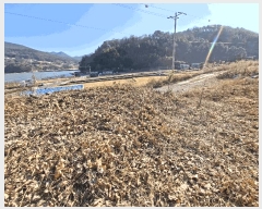  2025Ÿ��1079  ���ڽü����