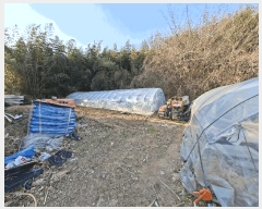  2025Ÿ��1100 �泲 ��û�� �žȸ� �žȸ� 127-4      ����(����)���