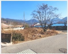  2025Ÿ30211 泲 û õ  49      ()