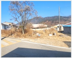  2025Ÿ30211 泲 û õ  49      ()