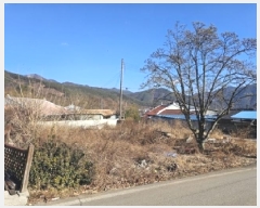  2025Ÿ30211 泲 û õ  49      ()