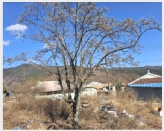  2025Ÿ30211 泲 û õ  49      ()