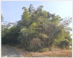  2025Ÿ��30341 �泲 �ϵ��� �ݳ��� ��۸� ��49      ����(�Ӿ�)���