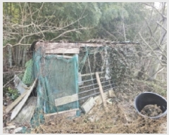  2025Ÿ��30341 �泲 �ϵ��� �ݳ��� ��۸� ��49      ����(�Ӿ�)���