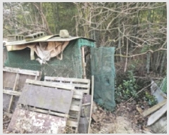  2025Ÿ��30341 �泲 �ϵ��� �ݳ��� ��۸� ��49      ����(�Ӿ�)���