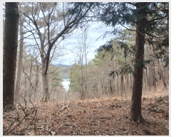  2025Ÿ30629 泲 õ   109-29      (Ӿ)