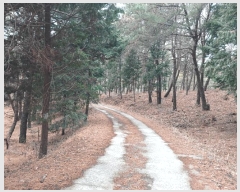  2025Ÿ30629 泲 õ   109-29      (Ӿ)