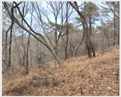  2025Ÿ30629 泲 õ   109-29      (Ӿ)