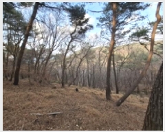  2025Ÿ30629 泲 õ   109-29      (Ӿ)