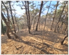  2025Ÿ30629 泲 õ   109-29      (Ӿ)