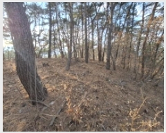  2025Ÿ30629 泲 õ   109-29      (Ӿ)