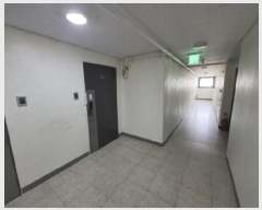  2025Ÿ30671 泲 õ ݵ 83-8 ǴнƮũ 4404ȣ     ǽڰ