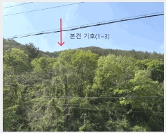  2025Ÿ30733 泲 õ õ ݰ 55-1      (Ӿ)