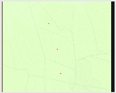  2025Ÿ30733 泲 õ õ ݰ 55-1      (Ӿ)