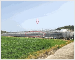  2025Ÿ30739 泲 ֽ  ̸ 216      ()