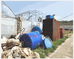  2025Ÿ30739 泲 ֽ  ̸ 216      ()