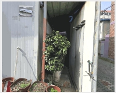  2025Ÿ30747 泲 ֽ  314-3       