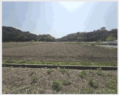  2025Ÿ��30753  ����