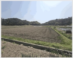  2025Ÿ��30753  ����