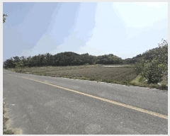  2025Ÿ��30753  ����