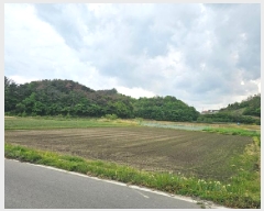  2025Ÿ��30753  ����