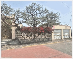  2025Ÿ��30767 �泲 ��õ�� ������ ���踮 378-1      ����(����)���